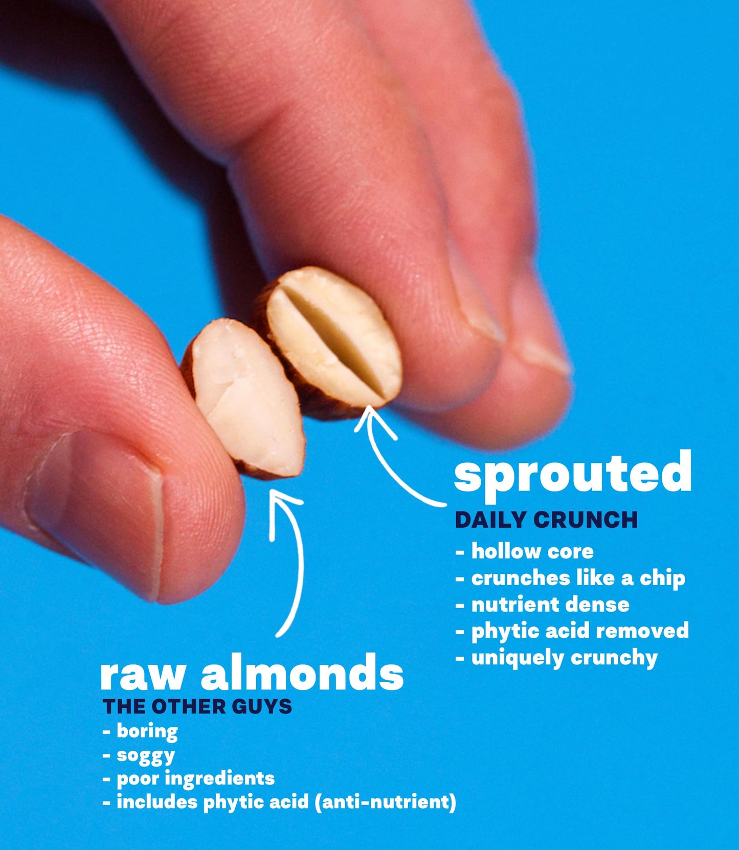 Daily Crunch Sprouted Almonds, 5 Ounce Resealable Bag (Original Sprouted, 2 Pack) - Sprouted And Dehydrated For A Unique Crunch,