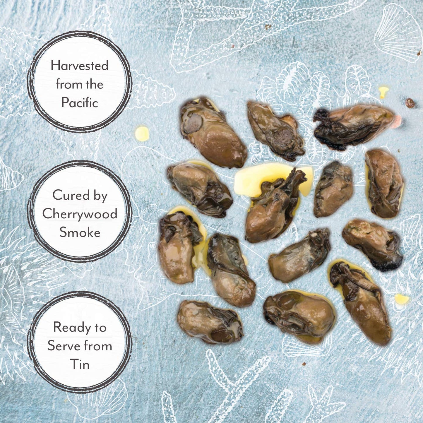 Roland Foods Smoked Oysters in Oil, Wild Caught, 3 Ounce Tin, Pack of 10, Brown