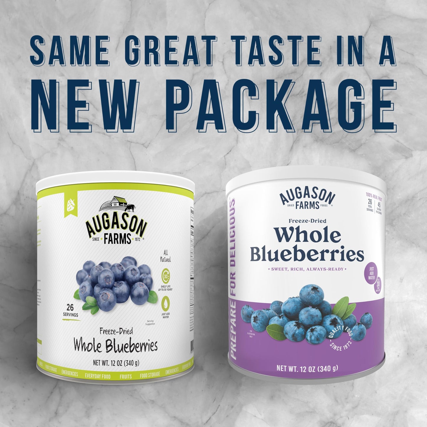 Augason Farms Dried Whole Blueberries Can – Dried Fruit For Baking & Emergency Food Supply – Dehydrated Camping Food With Long Shelf Life For Everyday Meal – 26 Servings