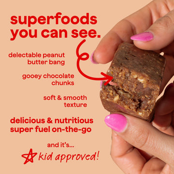 Blender  s Blender   Bar, Peanut Butter Cookie Dough, Vegan, 9 Count