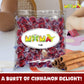 Sugar Free Cinnamon Hard Candy - 1 Lb Rich & Fiery Bulk Candy Individually Wrapped Cinnamon Discs - Gluten Free, Vegan, Keto Fri