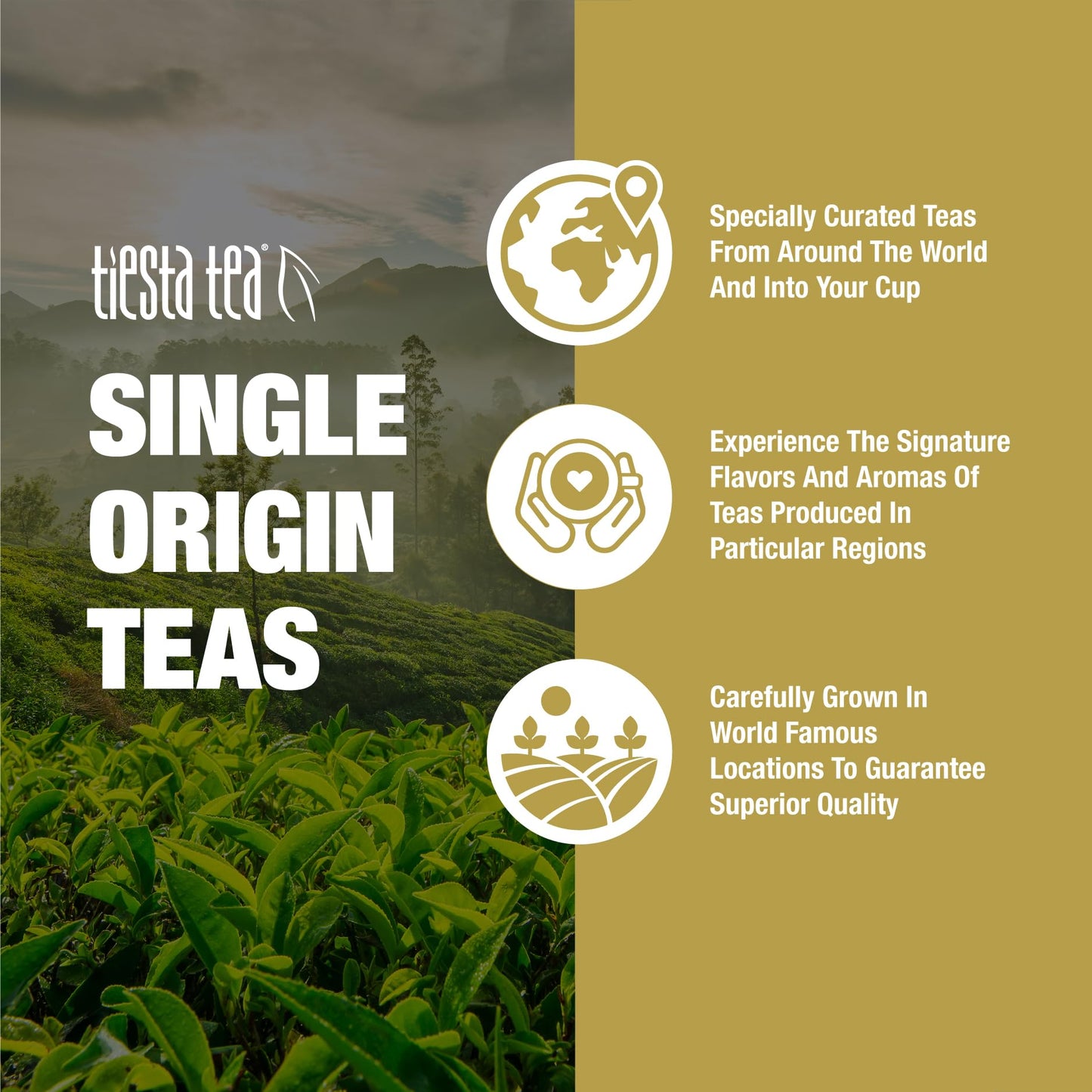 Tiesta Tea - First Flush Darjeeling Black Tea | Single Origin Premium Loose Leaf From India | 100% Pure Unblended High Caffeinat