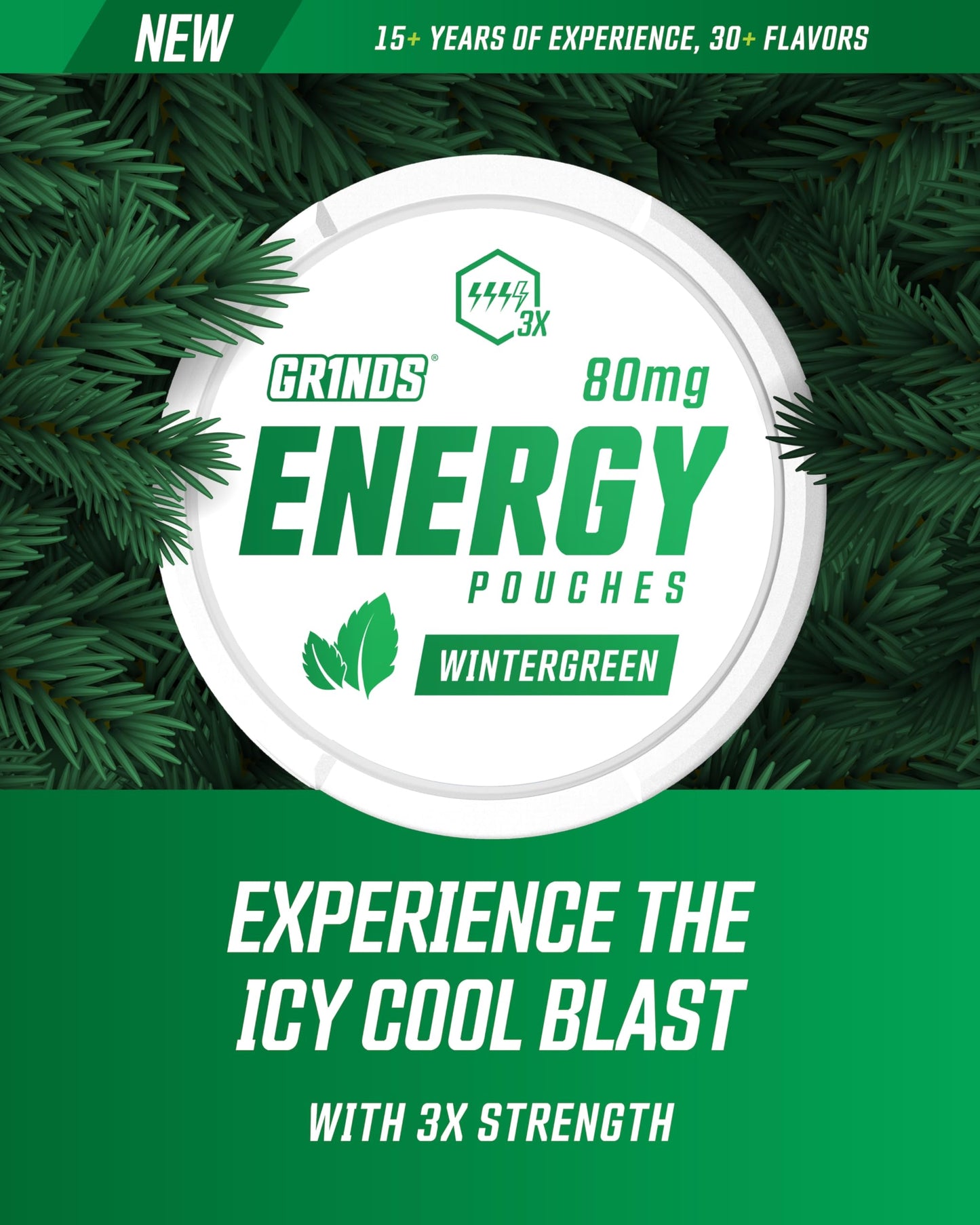 GRINDS Energy Pouches - Natural Caffeine with B-Vitamins - 80mg Caffeine - Wintergreen - 6 Pack, 15 Pouches Per Can