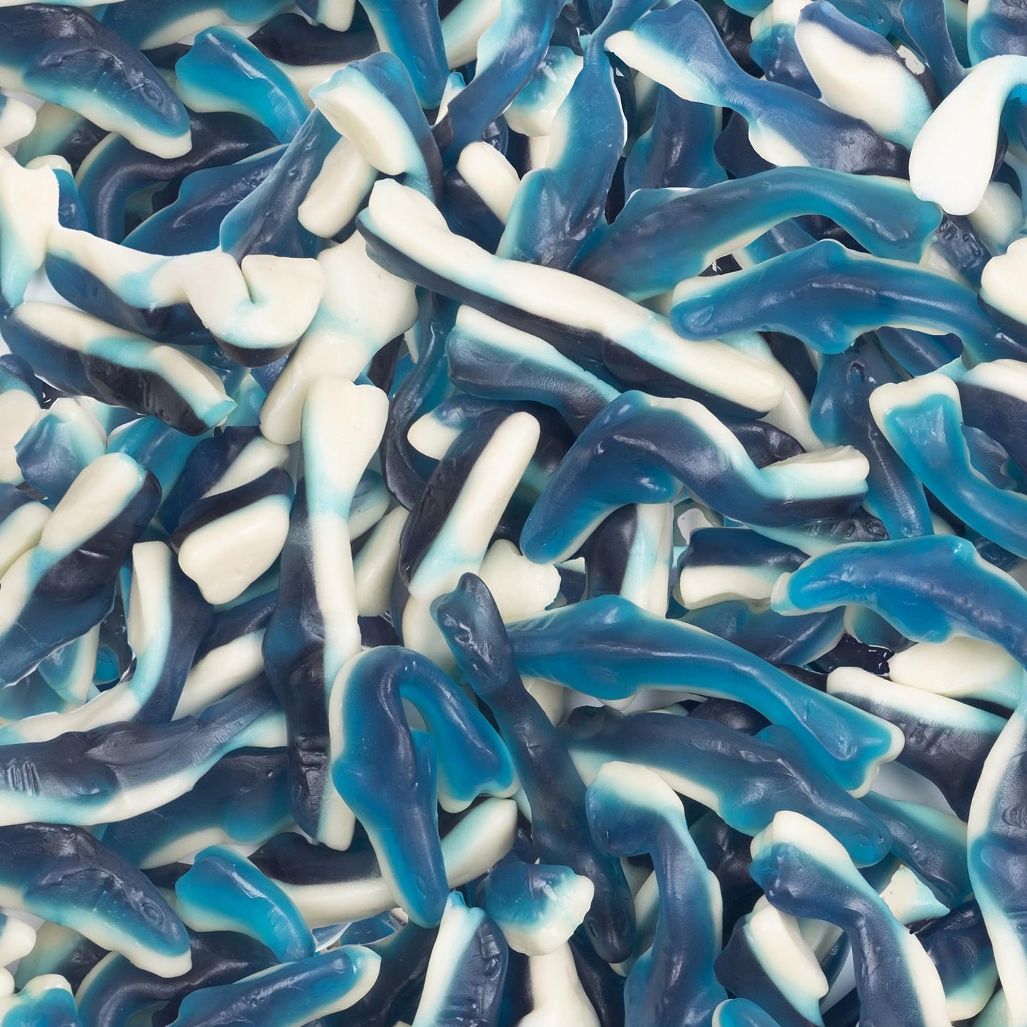 CANDY BREAK Fruity & Sweet Blue Sharks Gummy Candy - 5 lb Share Size Bag