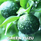 Yuzu Kosho Pepper Paste, Spices And Seasonings, Japanese Seasoning, 3.17Oz(90G)?Yamasan?