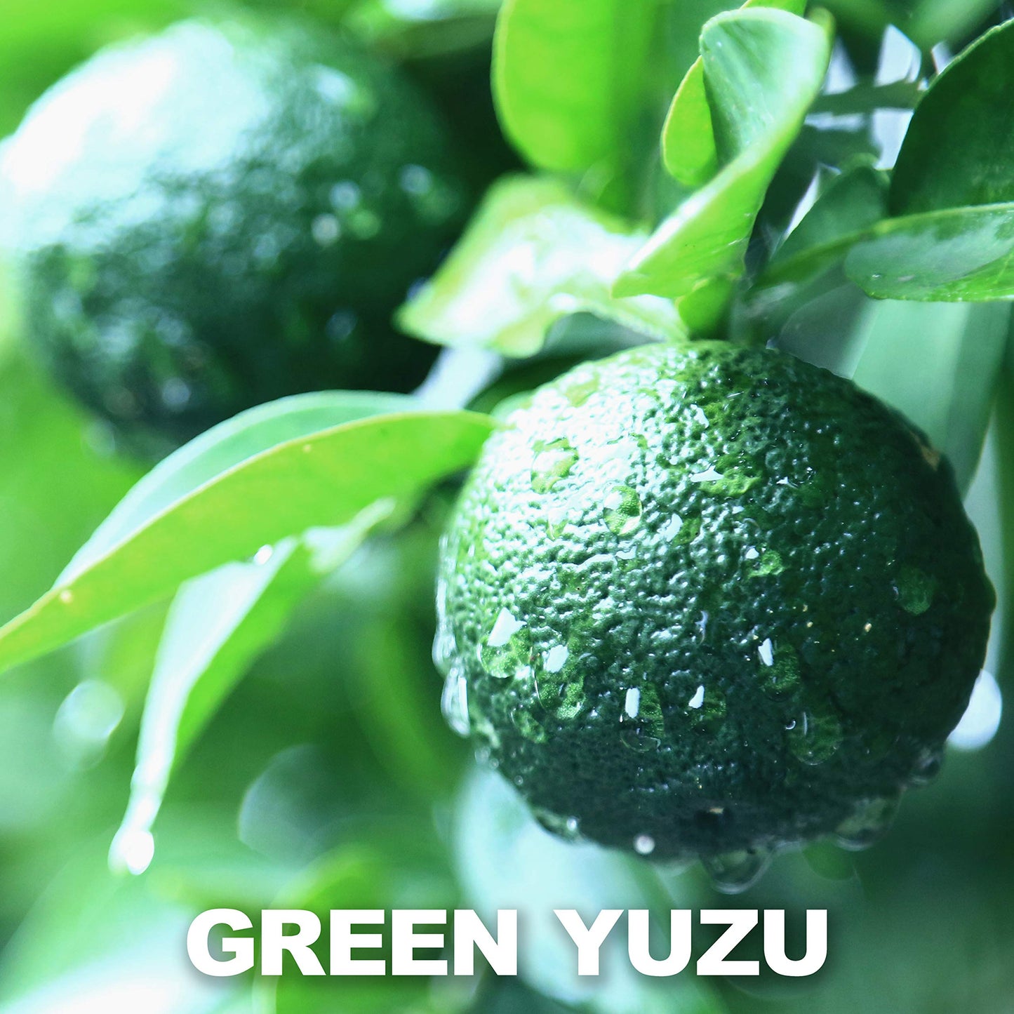Yuzu Kosho Pepper Paste, Spices And Seasonings, Japanese Seasoning, 3.17Oz(90G)?Yamasan?