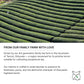 FKRO Organic Ceremonial Grade Matcha Green Tea Powder | 1st Harvest  Single Origin  Single Saemidori Cultivar | Flown in Fresh from Japan Every Month (30g/1.06oz) Tin