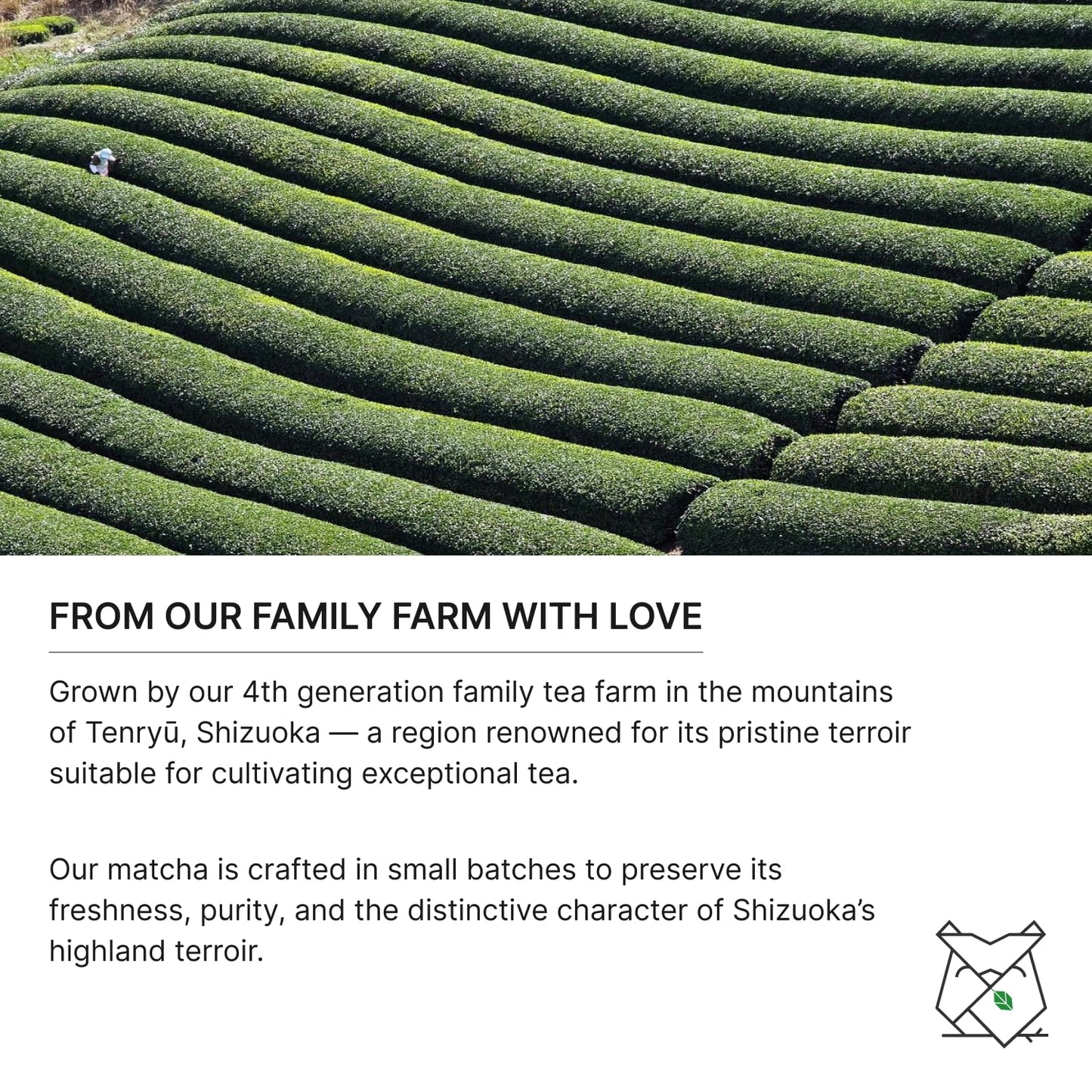 FKRO Organic Ceremonial Grade Matcha Green Tea Powder | 1st Harvest  Single Origin  Single Saemidori Cultivar | Flown in Fresh from Japan Every Month (30g/1.06oz) Tin