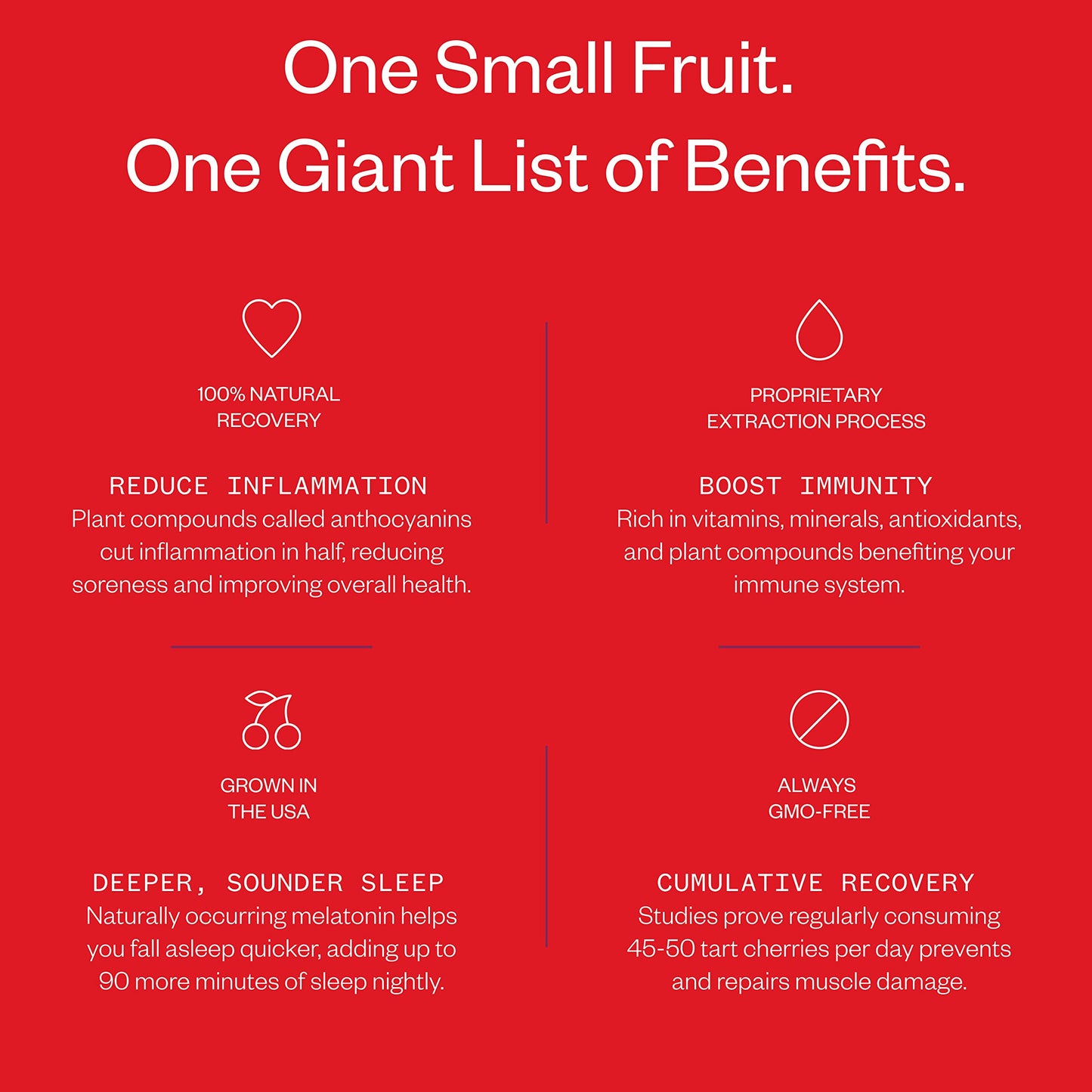 Cheribundi Original Tart Cherry Juice - Pro Athlete Workout Recovery - Fight Inflammation And Support Muscle Recovery - Tart Cherry Juice Lightly Sweetened With Apple Juice - Post Workout Recovery Drinks For Runners, Cyclists And Athletes - 8 Oz, 24 Pack