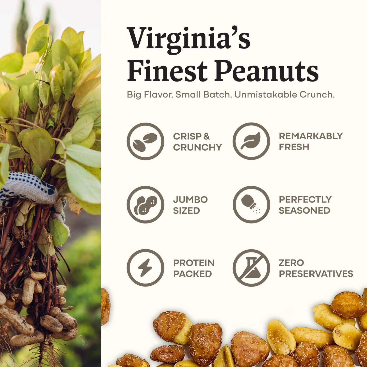 Belmont Peanuts Gourmet Cinnamon Churro Butter Toffee Mixer, 18 oz, No Preservatives, Hand Seasoned, Cinnamon-Coated Sea Salt, Virginia Peanuts