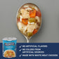 Progresso Traditional Chicken Rice with Vegetables Canned Soup, 19 oz, Pack of 12