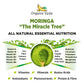 Organic Veda Moringa Powder - Premium USDA Organic, 7 Ounce (Pack of 1), Moringa Oleifera, Antioxidant Rich, Model MLP