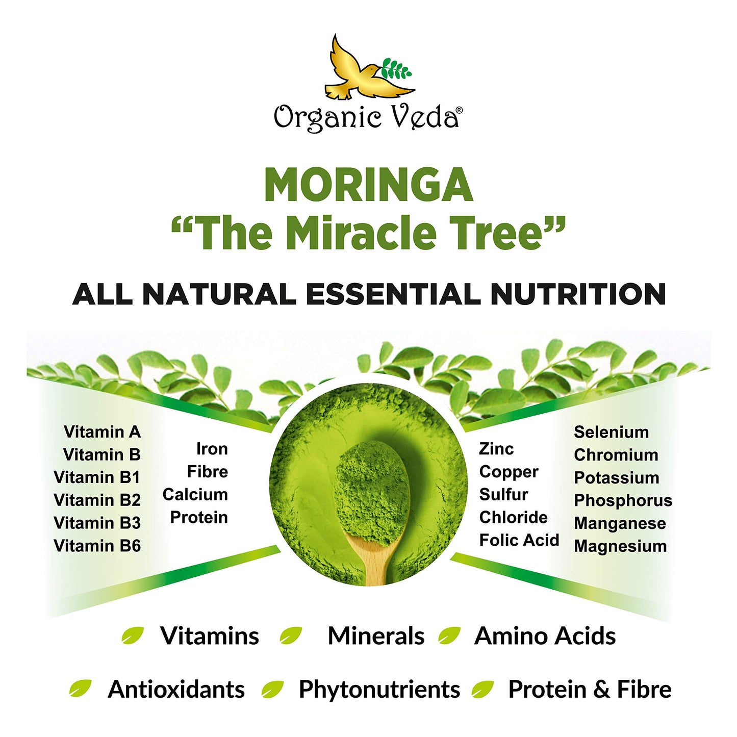 Organic Veda Moringa Powder - Premium USDA Organic, 7 Ounce (Pack of 1), Moringa Oleifera, Antioxidant Rich, Model MLP