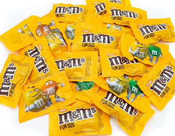 M&M'S Peanut Milk Chocolate 1 lb - Anti Melt Pack, Bulk Candy in Resealable Bag, 24 Fun Size Pieces