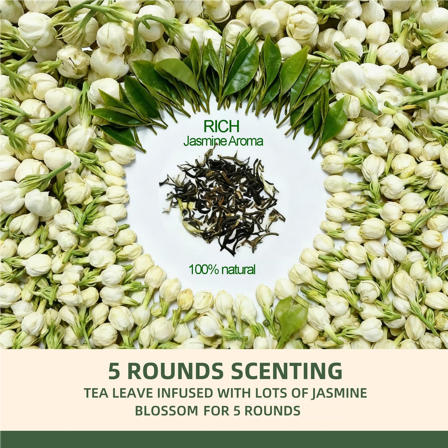 Tetwin Jasmine Green Tea Loose Leaf In Pla Tea Bags, 10Ct Samplers In Mini Tin –Smooth Jasmin Aroma & Gift-Ready, Party Favor
