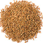 Food To Live - Alfalfa Seeds For Sprouting, 10 Pounds Edible Seeds, Pure, Vegan, Kosher, Bulk
