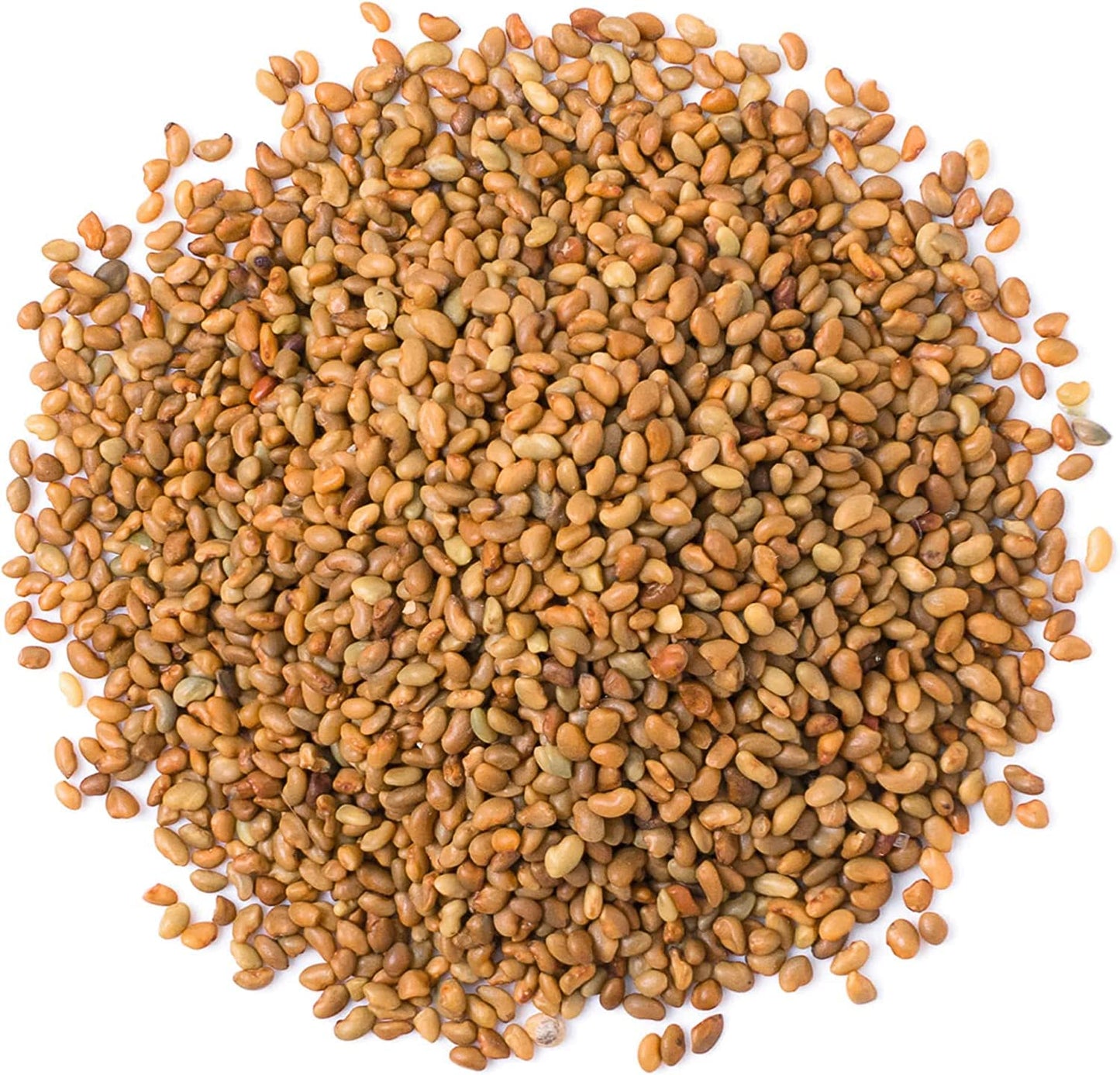 Food To Live - Alfalfa Seeds For Sprouting, 10 Pounds Edible Seeds, Pure, Vegan, Kosher, Bulk