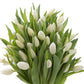 Blooms2Door Fresh Flowers - 50 White Tulips - Farm-Fresh, Cut-to-Order - Model KBDF1290-V999-A999