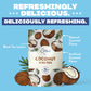 HTEAO Iced Tea Sachets - Coconut Black Tea Mix - Instant Iced Tea - 8 Sachets - 4 Gallons Total