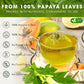 FRESHDRINKUS Premium Papaya Leaf Tea Bags, 100% Natural Herbal Tea, 75 Count, Vegan, No Sugar, No Caffeine, Gluten-Free