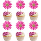 24Pcs Daisy Cupcake Toppers Flower Cake Topper Decorations Daisy Cake Decorations Chrysanthemum Cupcake Toppers Spring Daisy Flo