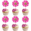 24Pcs Daisy Cupcake Toppers Flower Cake Topper Decorations Daisy Cake Decorations Chrysanthemum Cupcake Toppers Spring Daisy Flo