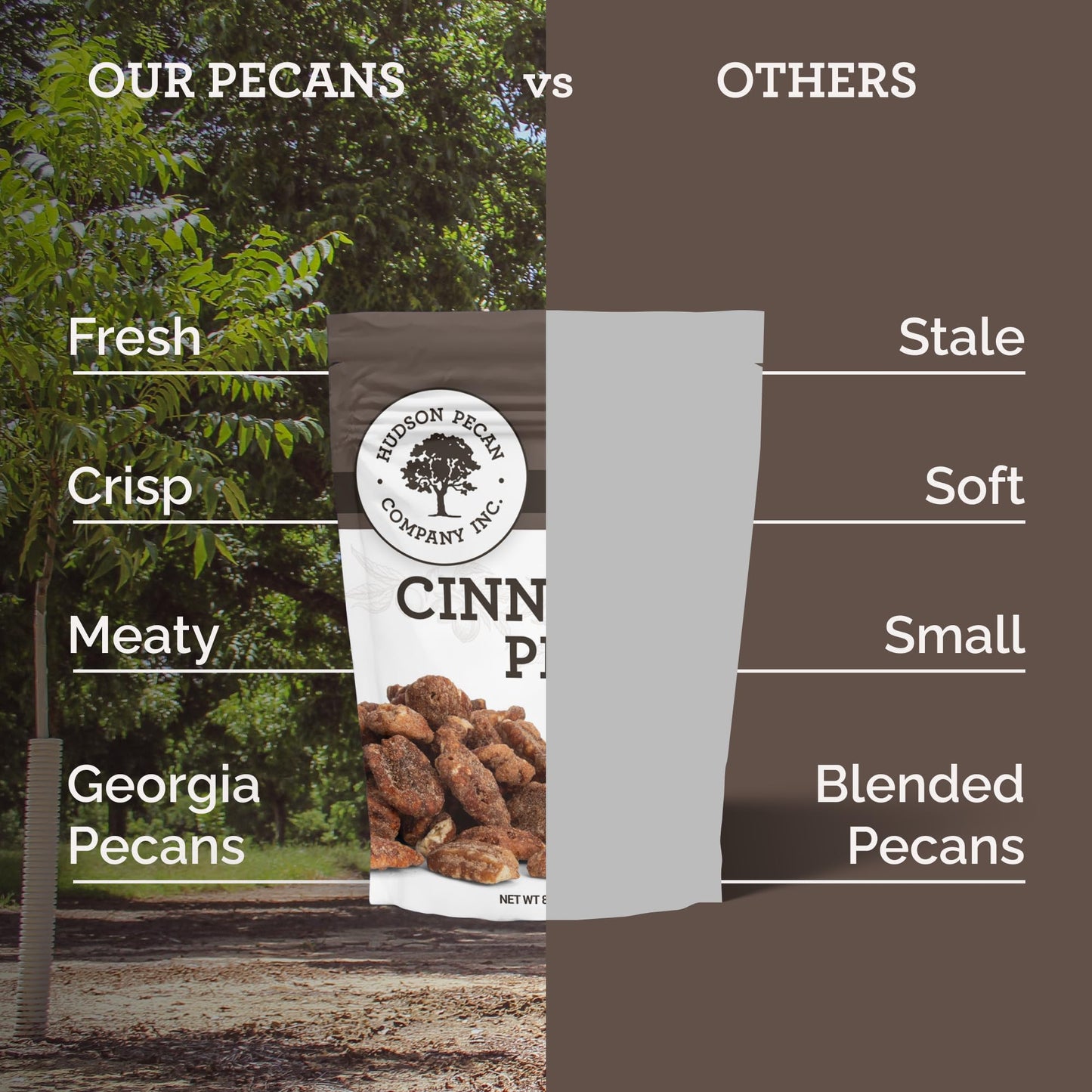 HUDSON PECAN COMPANY: Cinnamon Candied Pecans | Georgia Grown Family Owned. Cinnamon & Sugar Candy Coated, Expertly Baked to Per