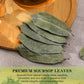 FullChea Soursop Leaves Tea - Non-GMO, Caffeine-Free, 2.47 oz, Improve Digestion & Support Skin & Sleep