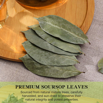 FullChea Soursop Leaves Tea - Non-GMO, Caffeine-Free, 2.47 oz, Improve Digestion & Support Skin & Sleep