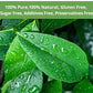 VitalForest Soursop Leaves Tea Bags - 40 Dried Tea Bags - Herbal Infusion