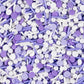 Purple Sprinkles For Cake Decorating Edible Purple Confetti Sprinkles Topper For Cookie Cupcakes, Candy, Cream, Chocolate Cake D