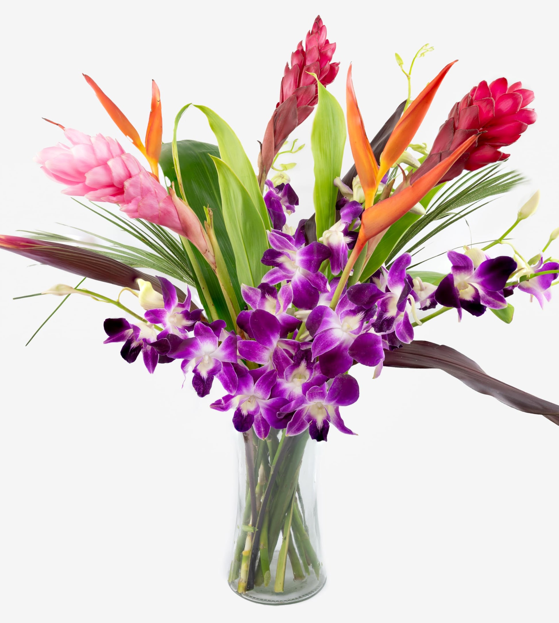 Fresh Orchids and Tropical Flower Bouquet, Purple Orchids, Red Ginger, Heliconia, Mixed Foliage, Hawaiian - PRIME QUALITY - Perf