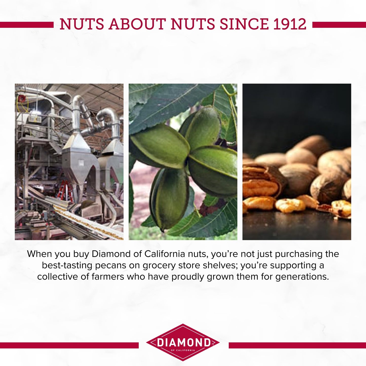 Diamond Of California Pecan Pie Pecan Nuts, 3.25 Oz. (4 Pack)