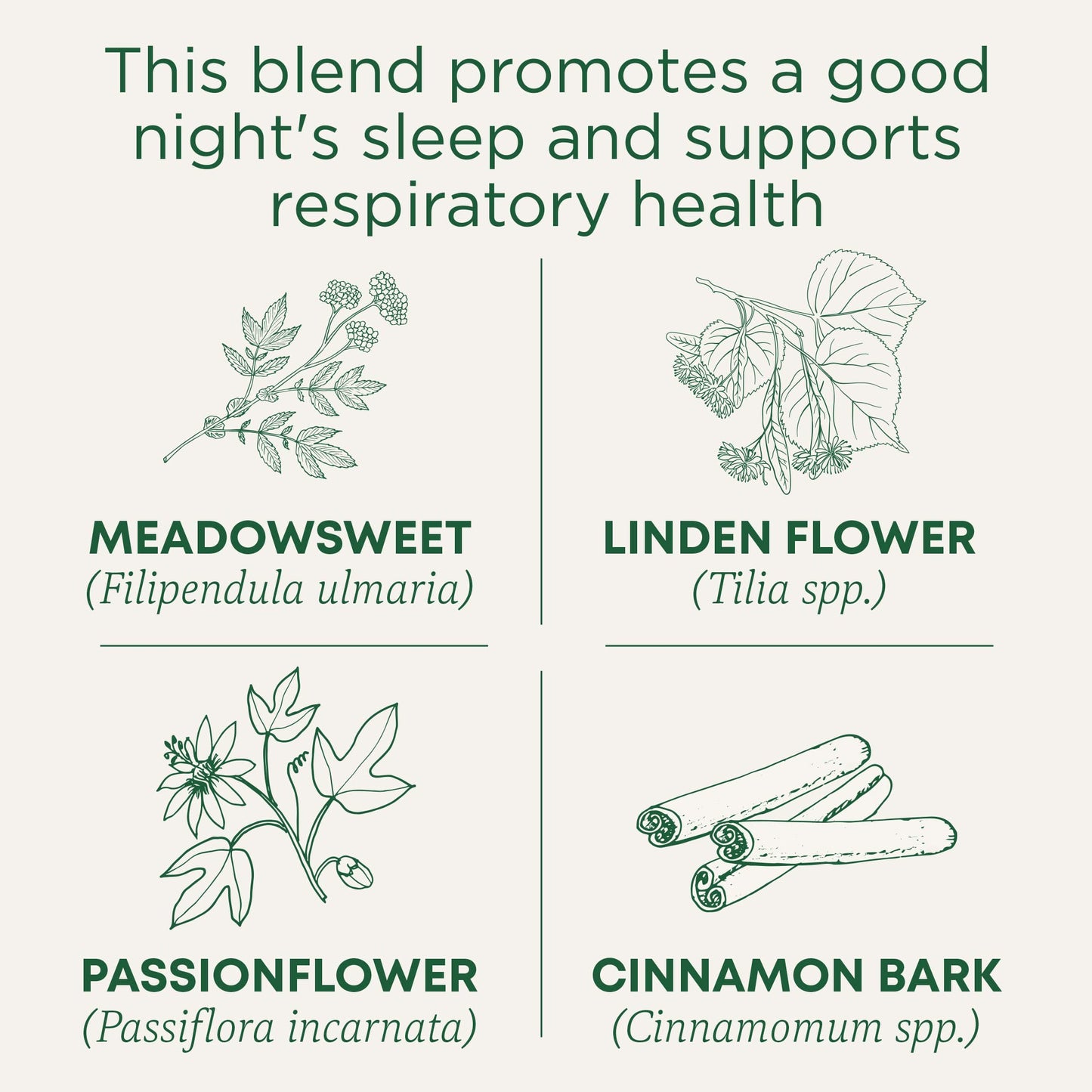 Traditional Medicinals Tea, Organic Cold Care Pm, Get A Good Night'S Sleep, 16 Tea Bags