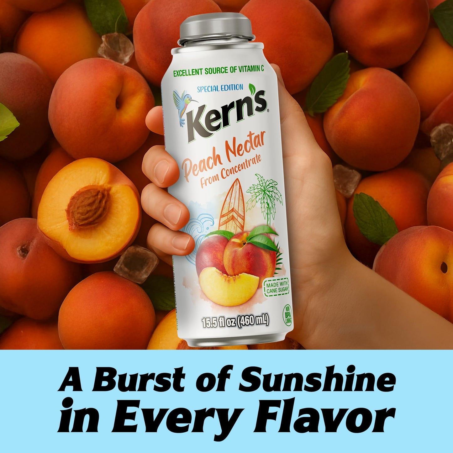 Kerns Peach Nectar Lata Botella - Made with Fresh Fruit Puree & Peach Juice Concentrate for Fruit Smoothie Mix  Cocktail Mixers & Kids Beverages - 15.5oz  12 Pack Resealable Juice Bottles