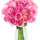 KaBloom Flowers - Mother's Day Collection - Blush Pink Roses (Two Dozen) - Flowers With Vase.Gift for Birthday, Anniversary, Tha