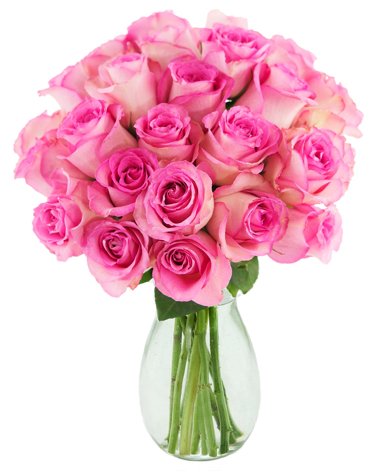 KaBloom Flowers - Mother's Day Collection - Blush Pink Roses (Two Dozen) - Flowers With Vase.Gift for Birthday, Anniversary, Tha