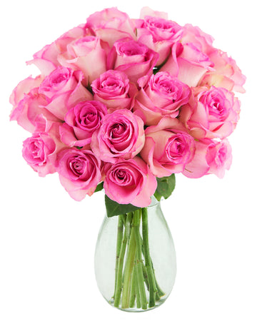 KaBloom Flowers - Mother's Day Collection - Blush Pink Roses (Two Dozen) - Flowers With Vase.Gift for Birthday, Anniversary, Tha