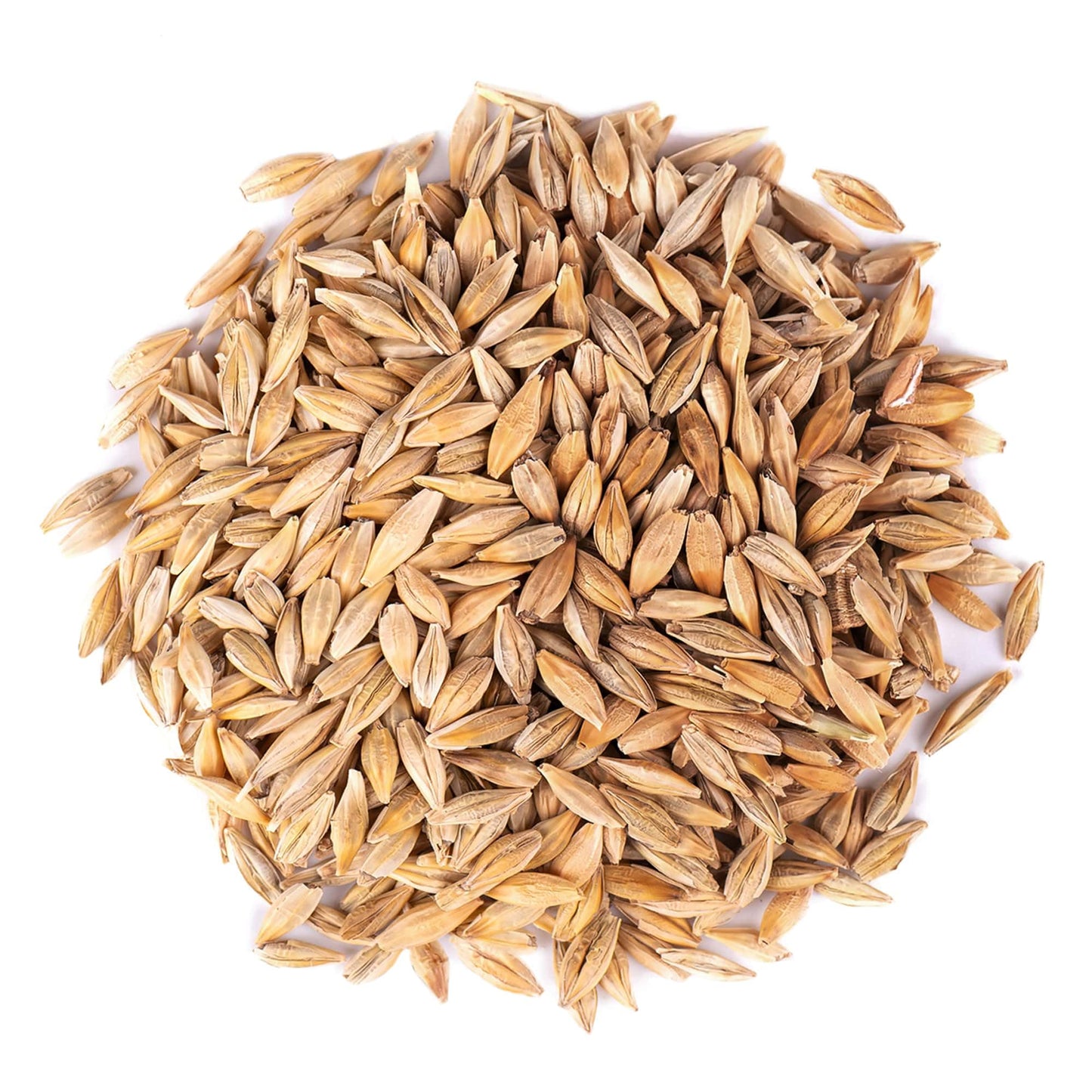 Food to Live Organic Whole Unhulled Barley, Non-GMO, High in Fiber, 1 Pound