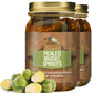 Green Jay Gourmet Pickled Brussel Sprouts in a Jar - Fresh Hand Jarred Vegetables for Cooking & Pantry - Home Grown Pre-Prepared