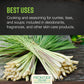 Frontier Co-op Organic Lemongrass, 1lb Bulk Bag - 100% Pure Dried Lemon Grass for Tea & Seasoning, Kosher Certified