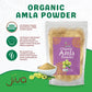 Jiva Organics Amla Berry Powder - Organic, Food Grade, Non-GMO - 7 Ounce