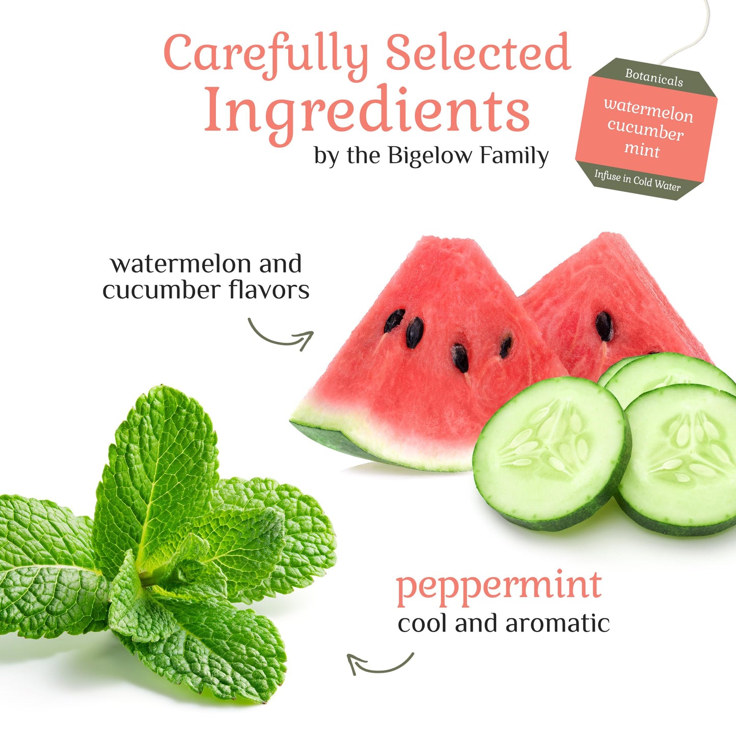 Bigelow Tea Cold Water Infusion Herbal Tea, Watermelon Cucumber Mint, 18 Count Box (Pack of 6)