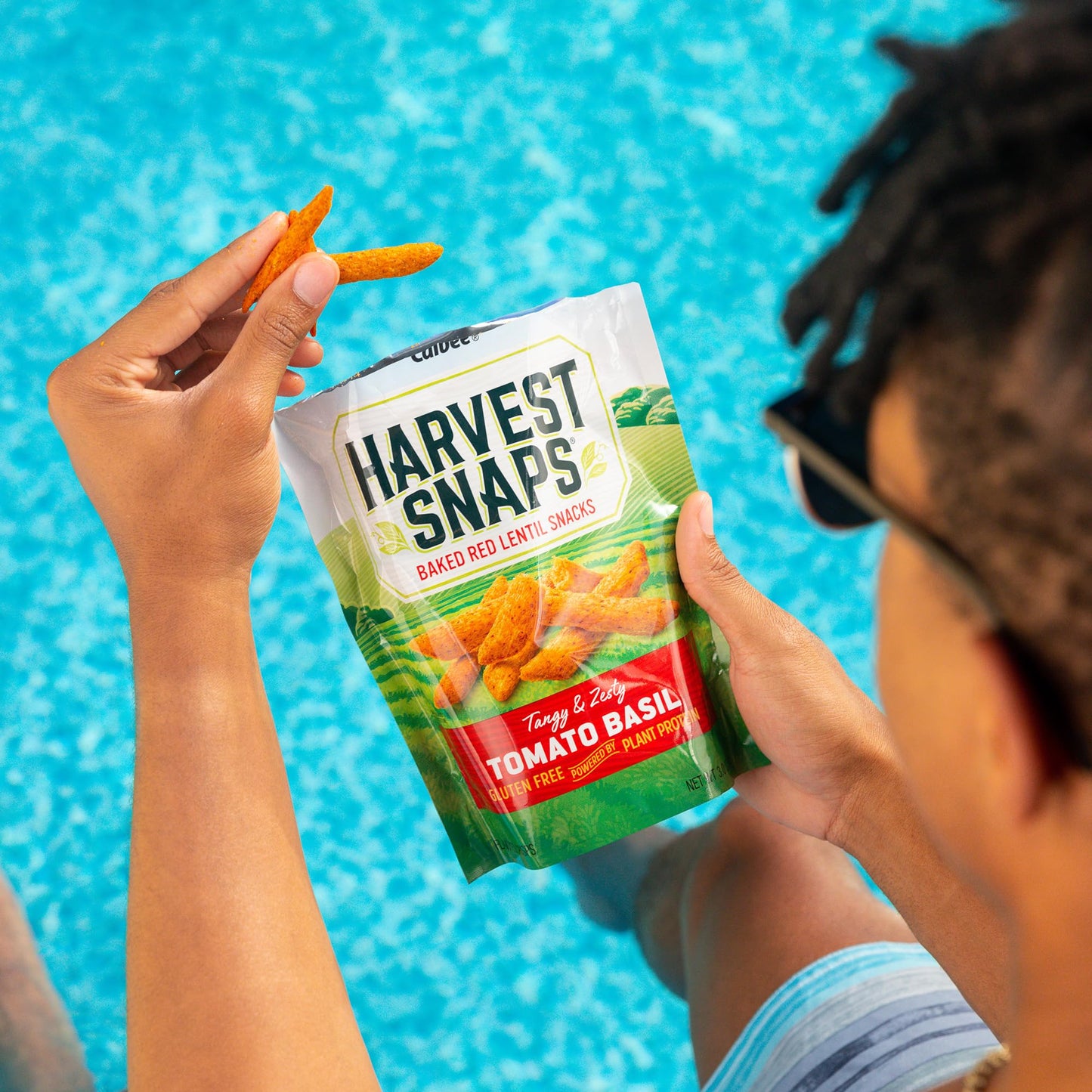 Harvest Snaps Veggie Chips (Variety Pack 5 Flavors) | Powered By Plant Protein, Gluten Free, Non-Gmo Baked Vegetable Crisps | Ma