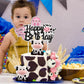 Pinkunn 23 Pcs Cow Cake Topper Farm Cake Decor Cow Cake Decorations With Cow Miniature Figurines Animal Birthday Party For Cow T