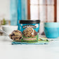 Ben & Jerrys Gimme Smore Toasted Marshmallow Ice Cream Pint Non-GMO 16 oz