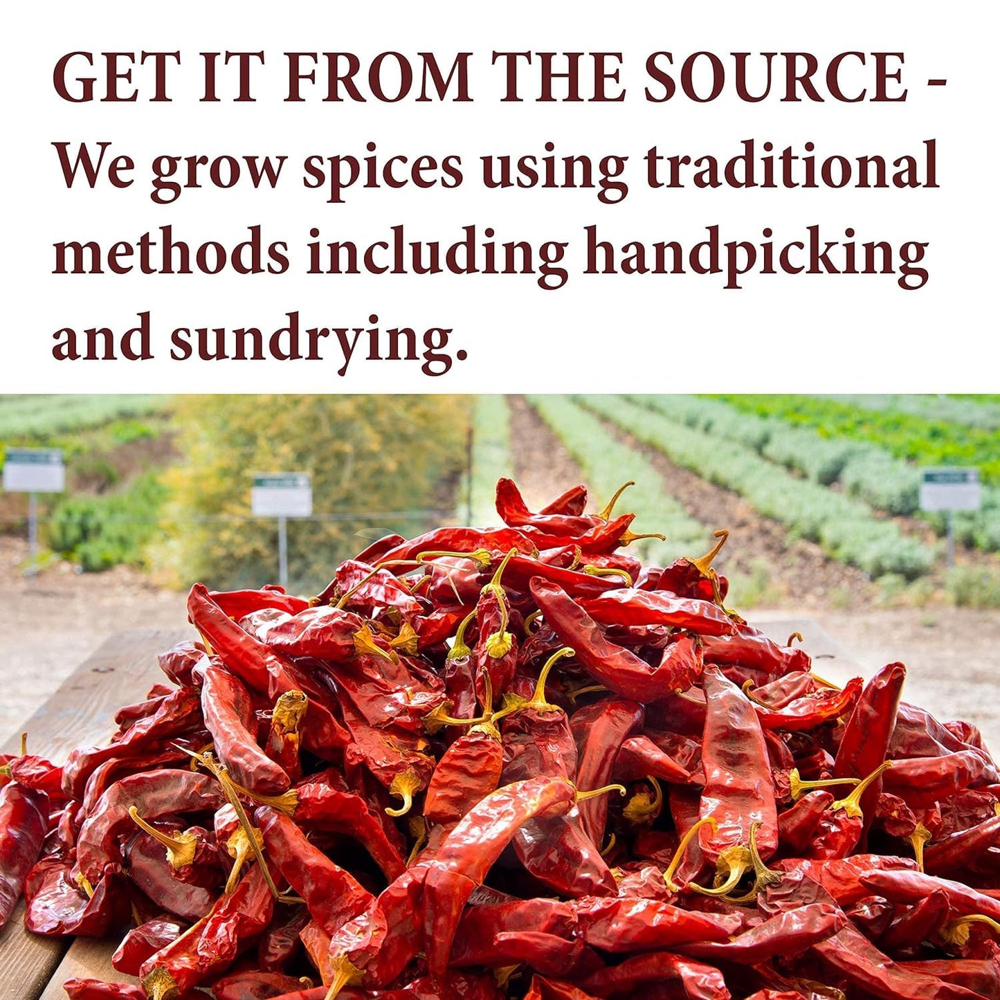 The Spice Way Hawayij Traditional Yeminite Spices 2oz - No Salt, No Additives, No Preservatives, No Fillers