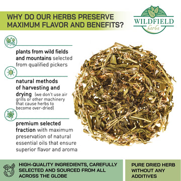 4 Oz. Common Knotgrass Herbal Tea (Polygonum Aviculare) - 113G Pigweed Herb Tea Centinodia