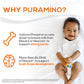 PurAmino Hypoallergenic Infant Drink, for Severe Food Allergies, Omega-3 DHA, Iron, Immune Support, Powder Can, 14.1 Oz (4 Count