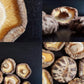 SXRFYFCL Dried Shiitake Mushrooms Quick Hydration Soft Texture 7.05 Ounces/200g Stemless Sealed Package
